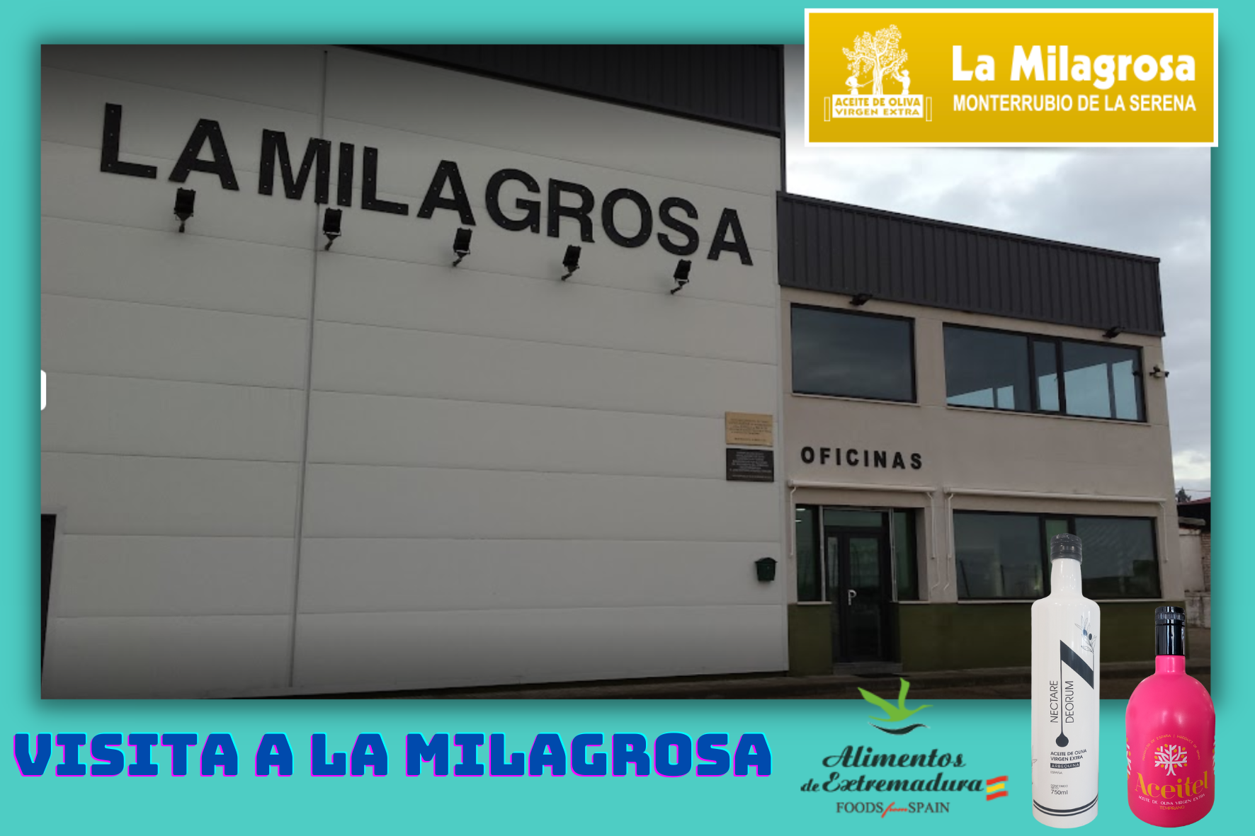 Pegatina Rectangular Horizontal Etiqueta Aguamarina y Amarillo.png